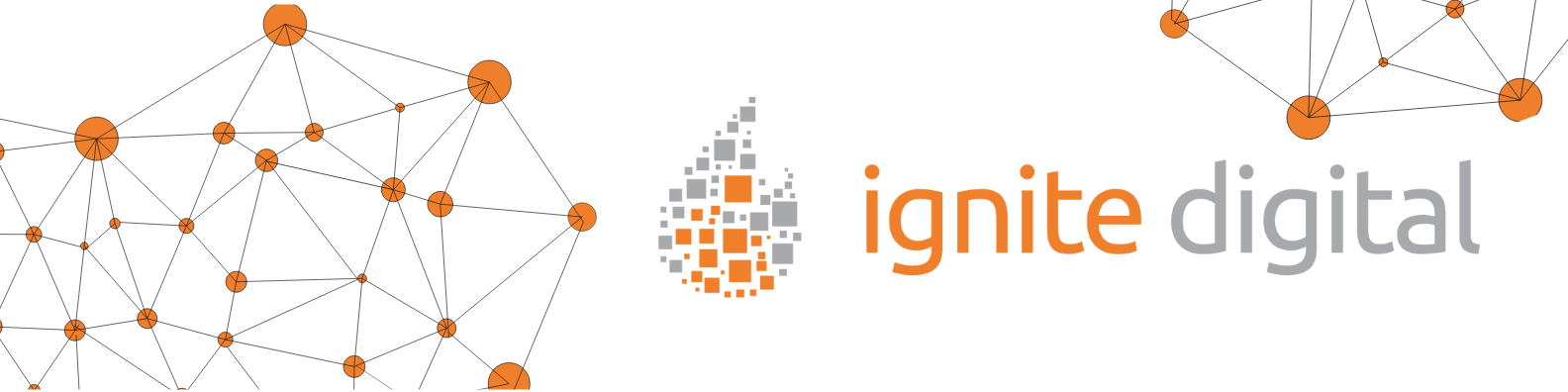 Ignite Digital cover
