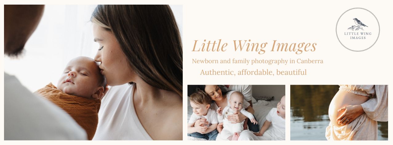 Little Wing Images cover