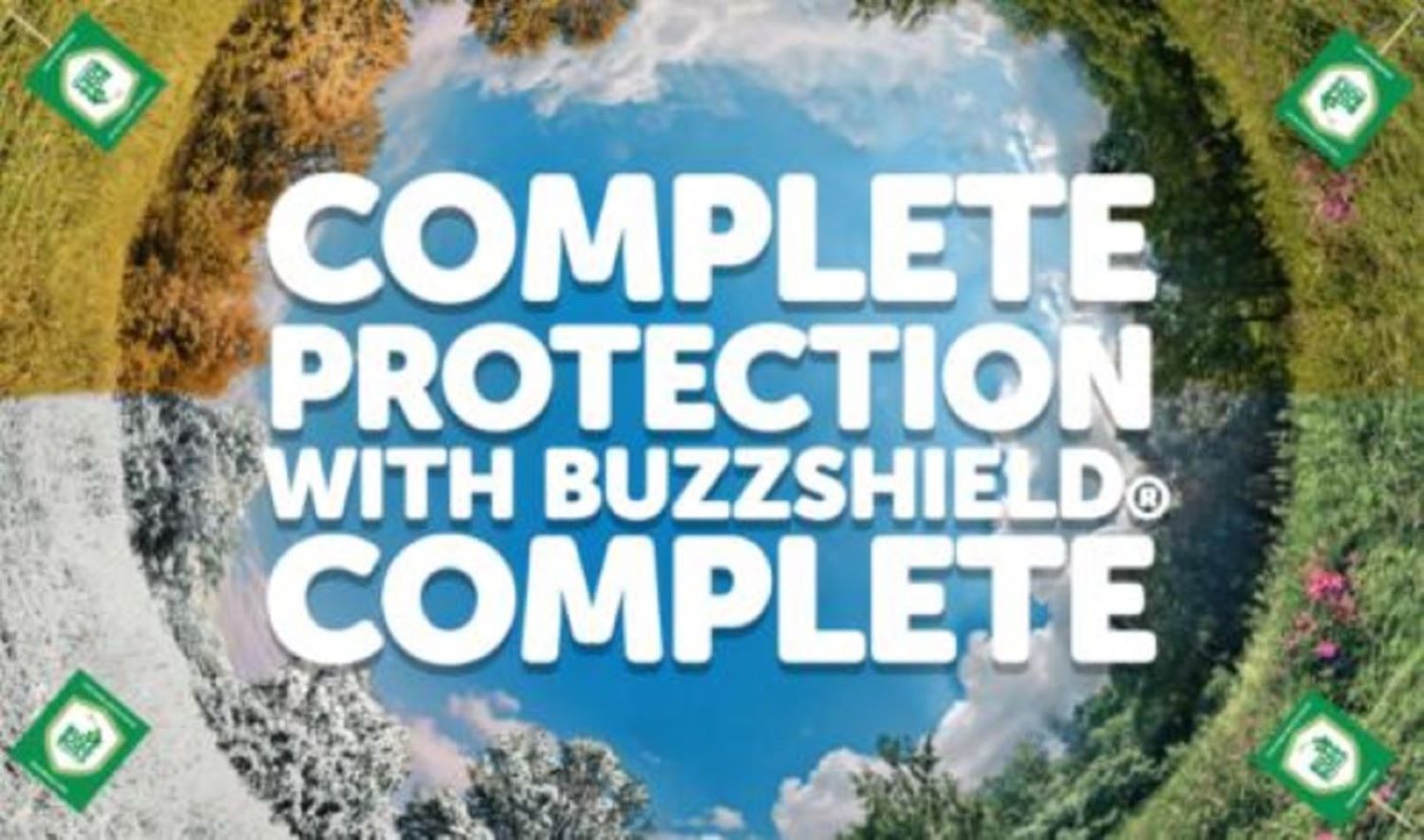Buzz Boss cover