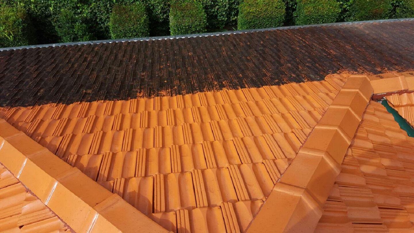 Able Roof Restoration cover