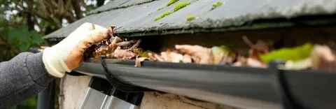 Easy Gutter and Window Cleaning cover