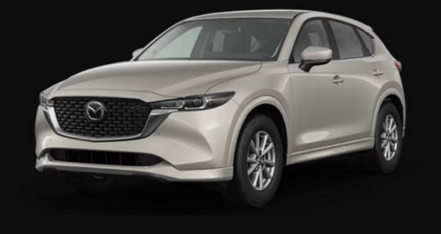 Quick Lease Car Rentals