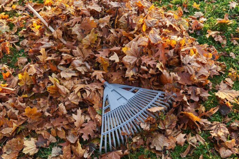 J & D Professional Cleaning Service & Maintenance cover