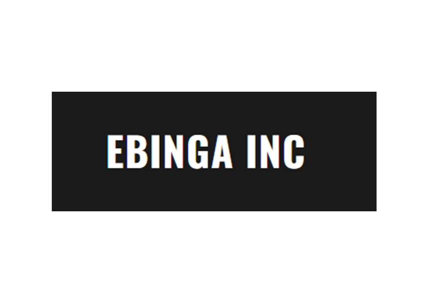 Ebinga Inc cover