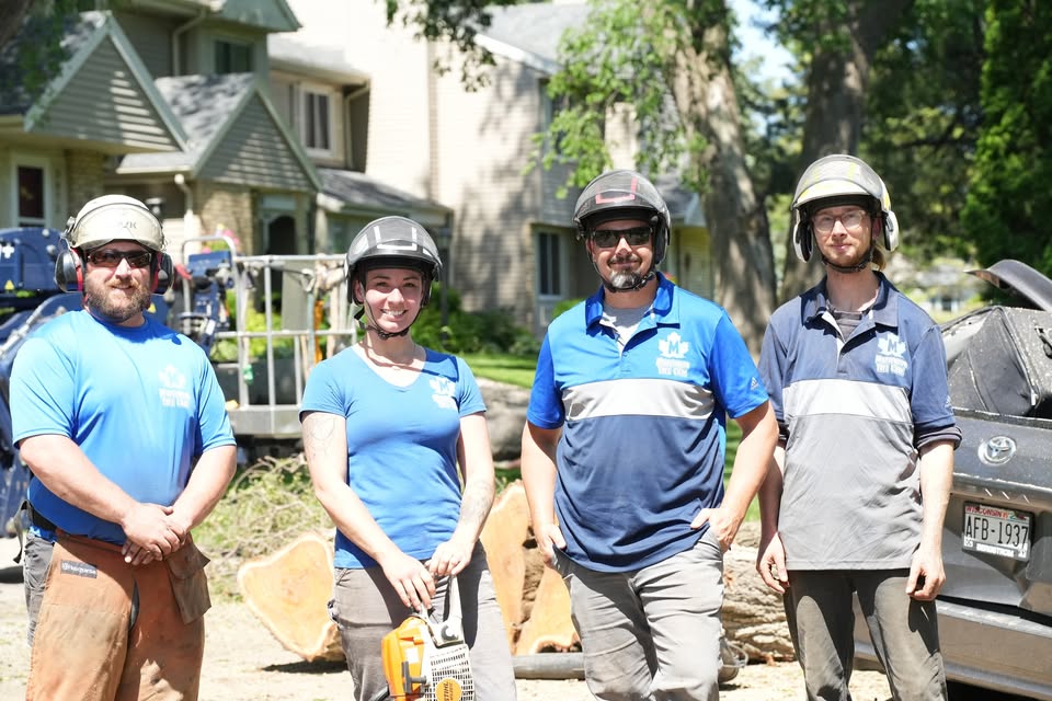 Maplewood Tree Care cover