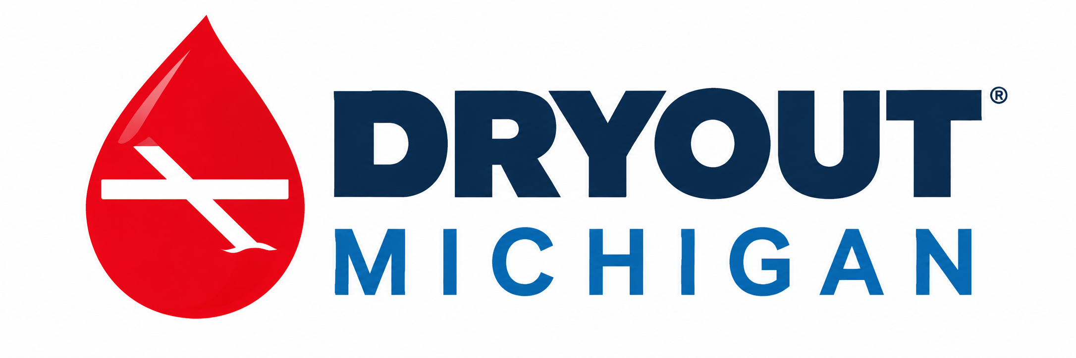 Dryout Michigan cover