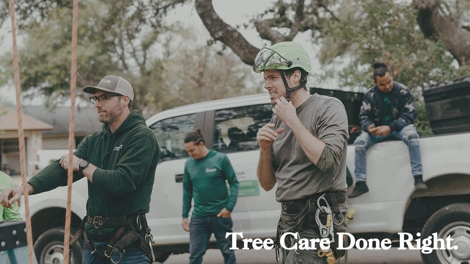 Adam’s Apple Tree Service cover image