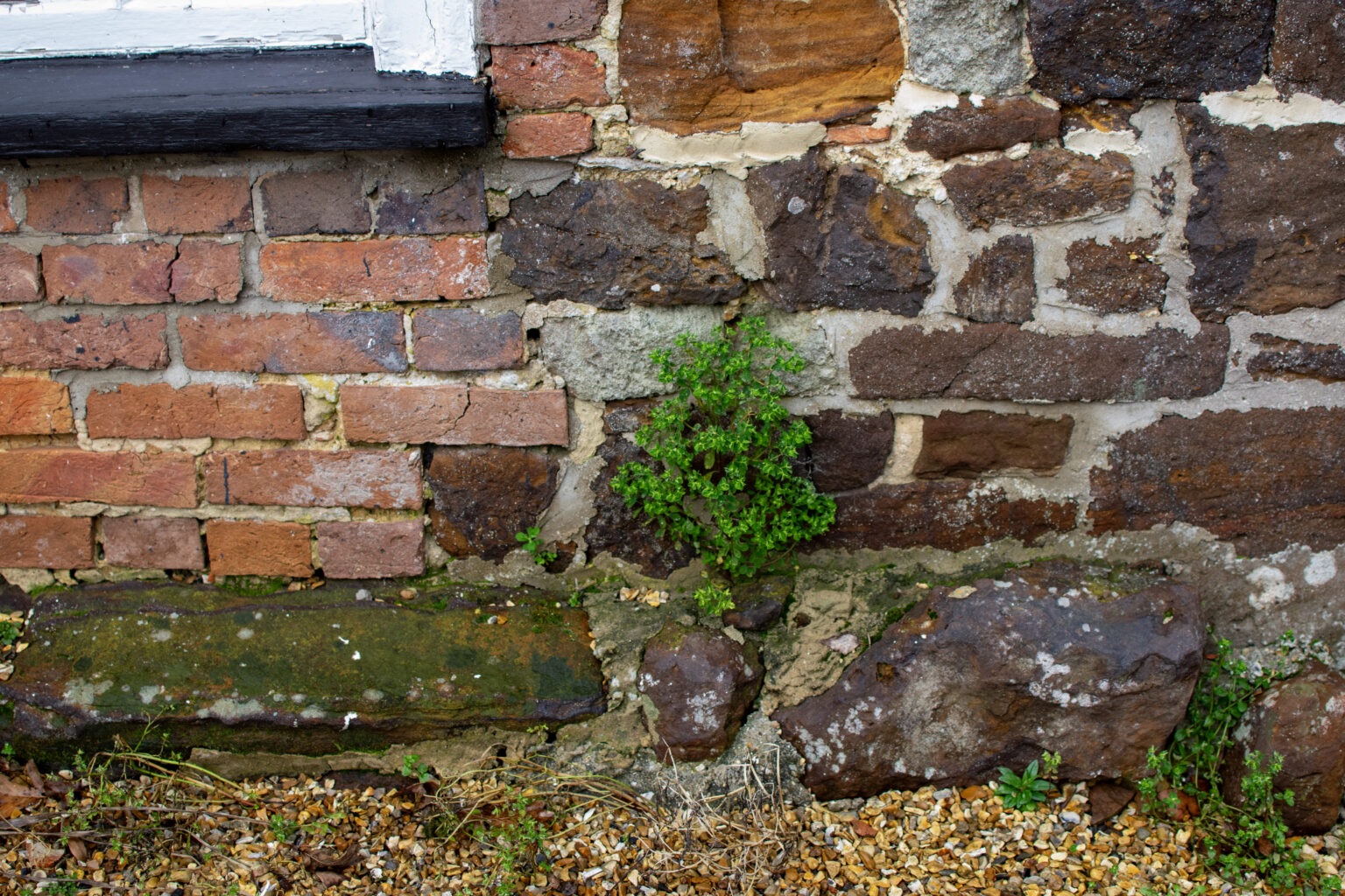 Bramley And Stone cover