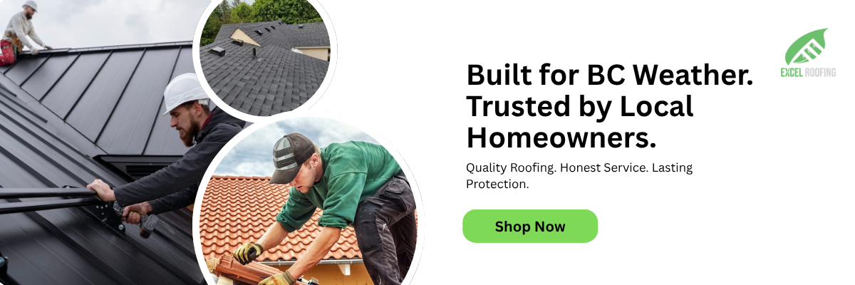 Excel Roofing & Solar cover