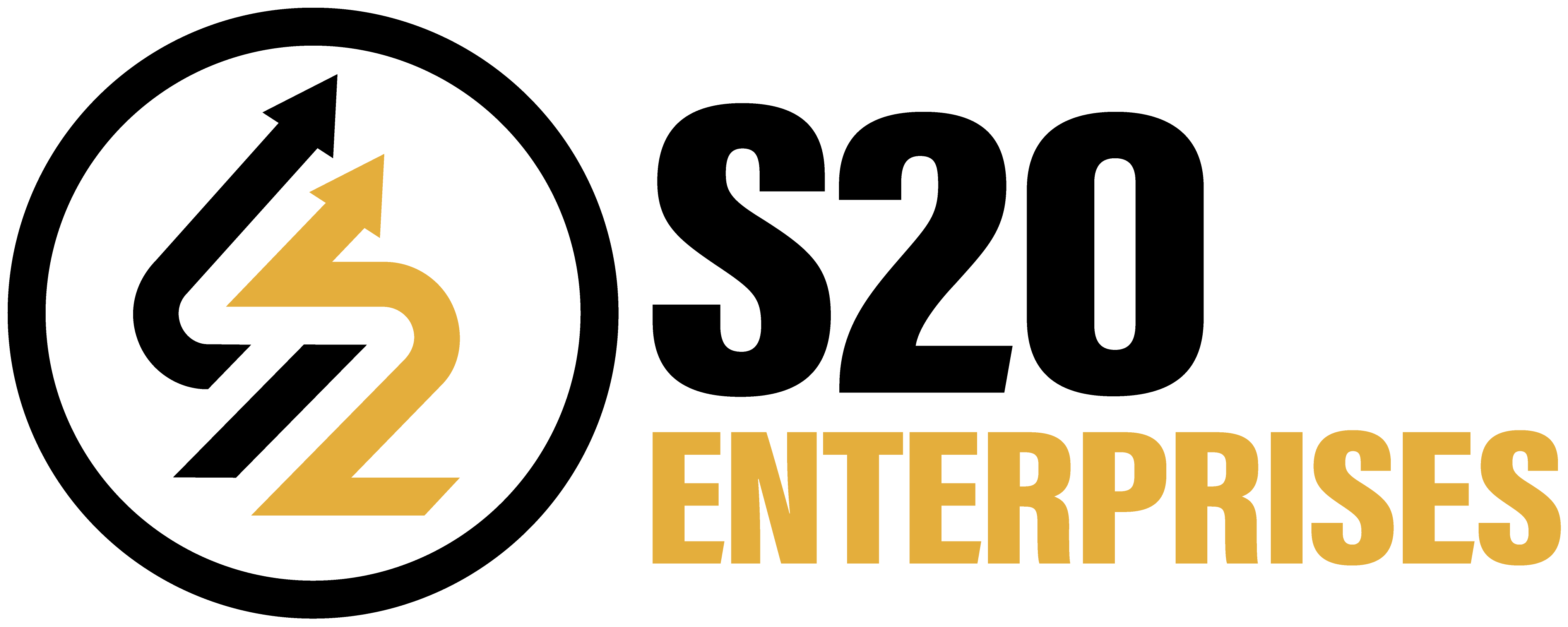 S2O ENTERPRISES INC cover