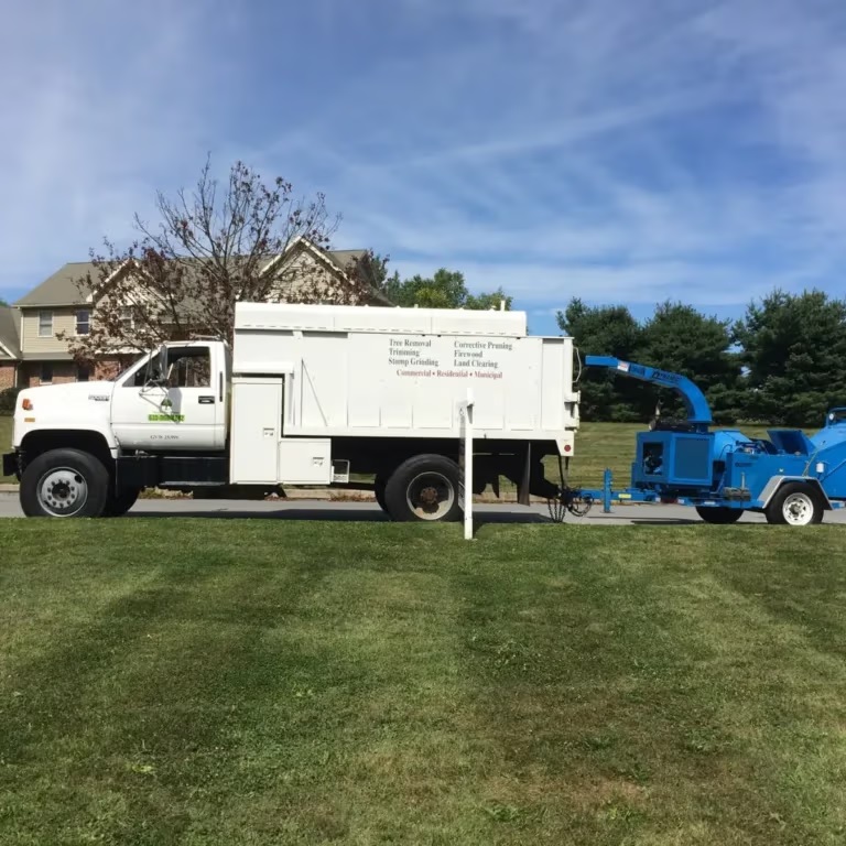Harmony Tree Services cover
