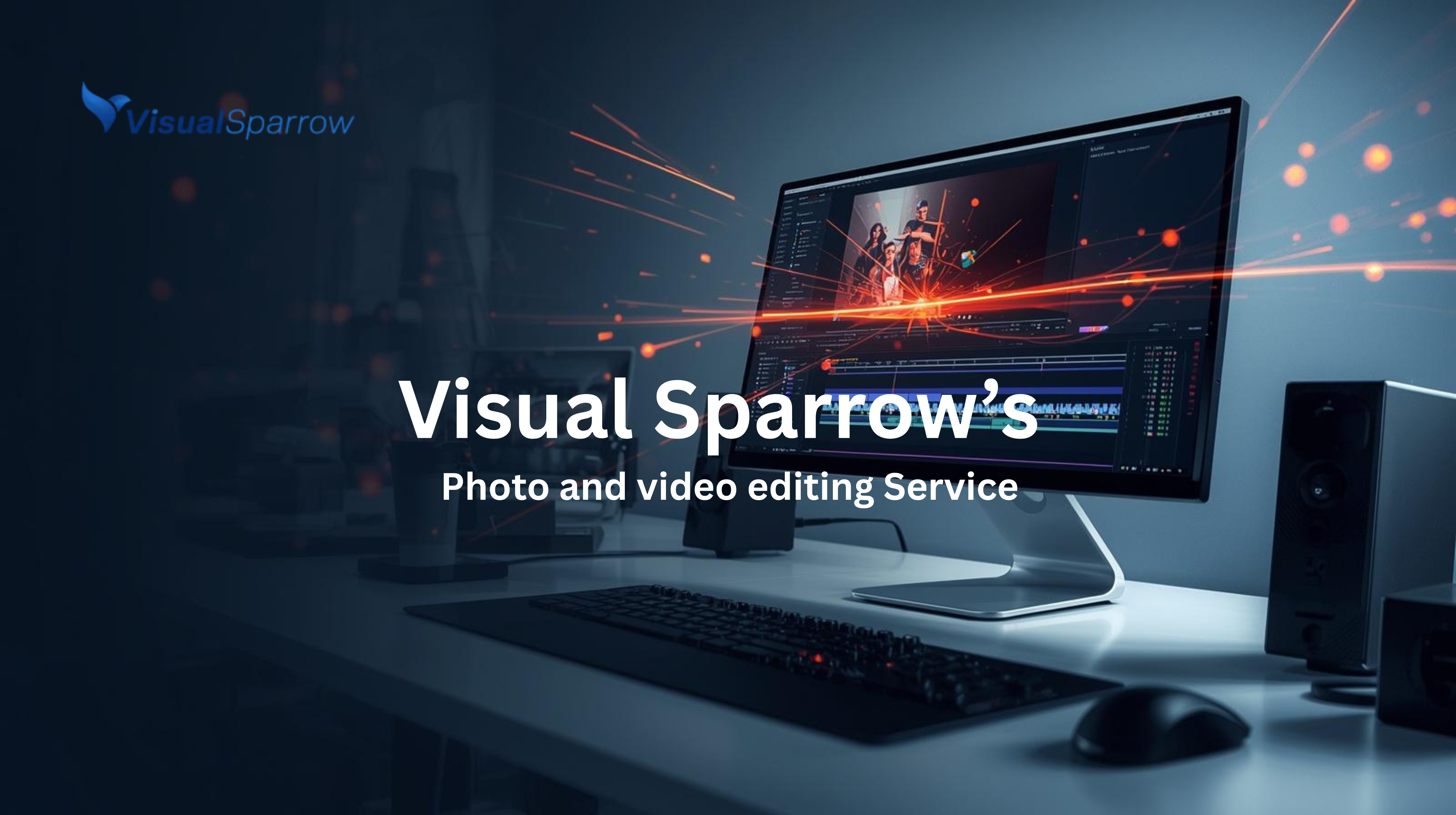 Visual Sparrow cover