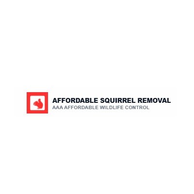 AFFORDABLE SQUIRREL REMOVAL