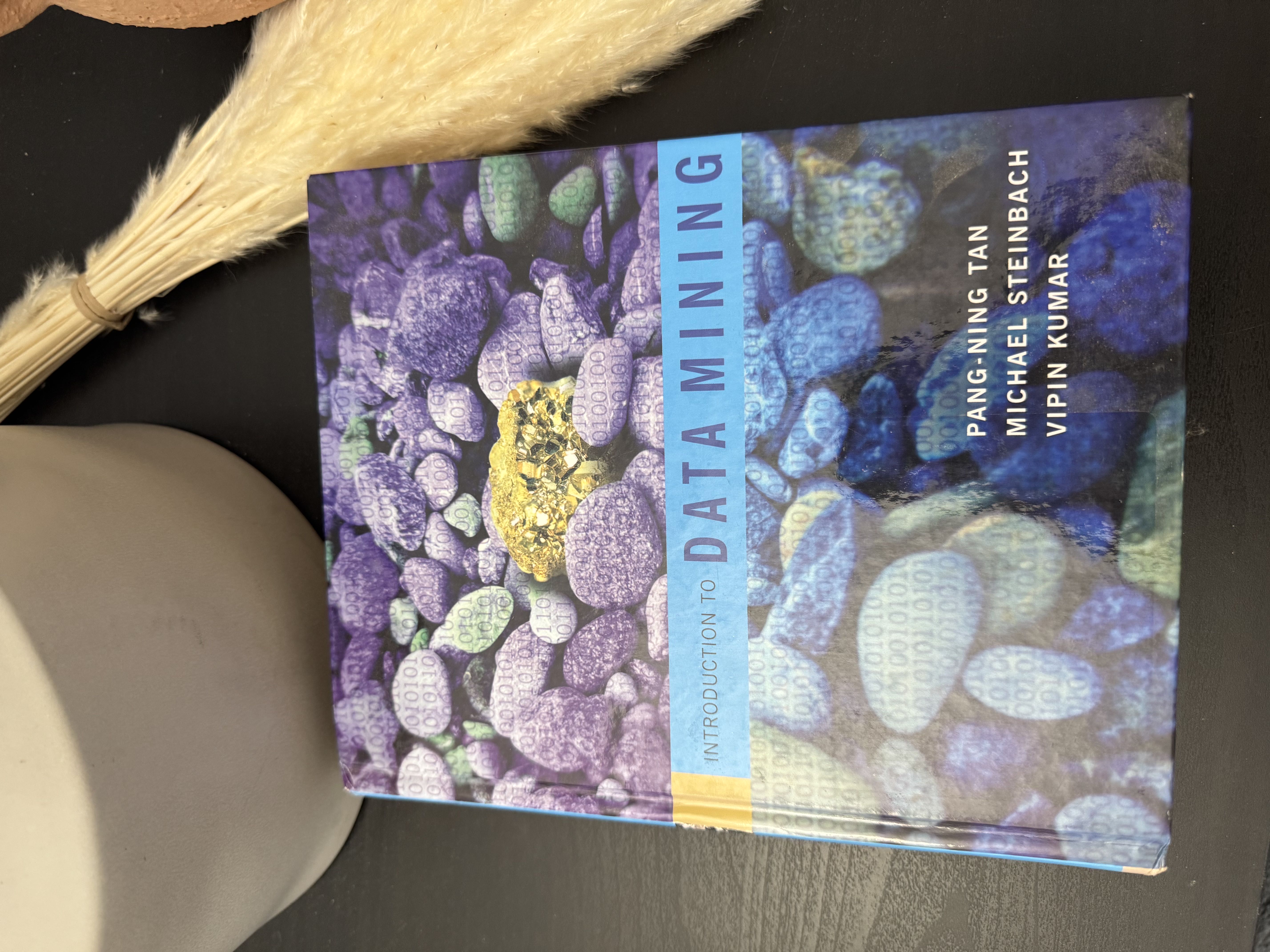 Introduction to Data Mining Hardcover Textbook